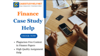 Hire Finance Case Study Help Experts From Casestudyhelp.net