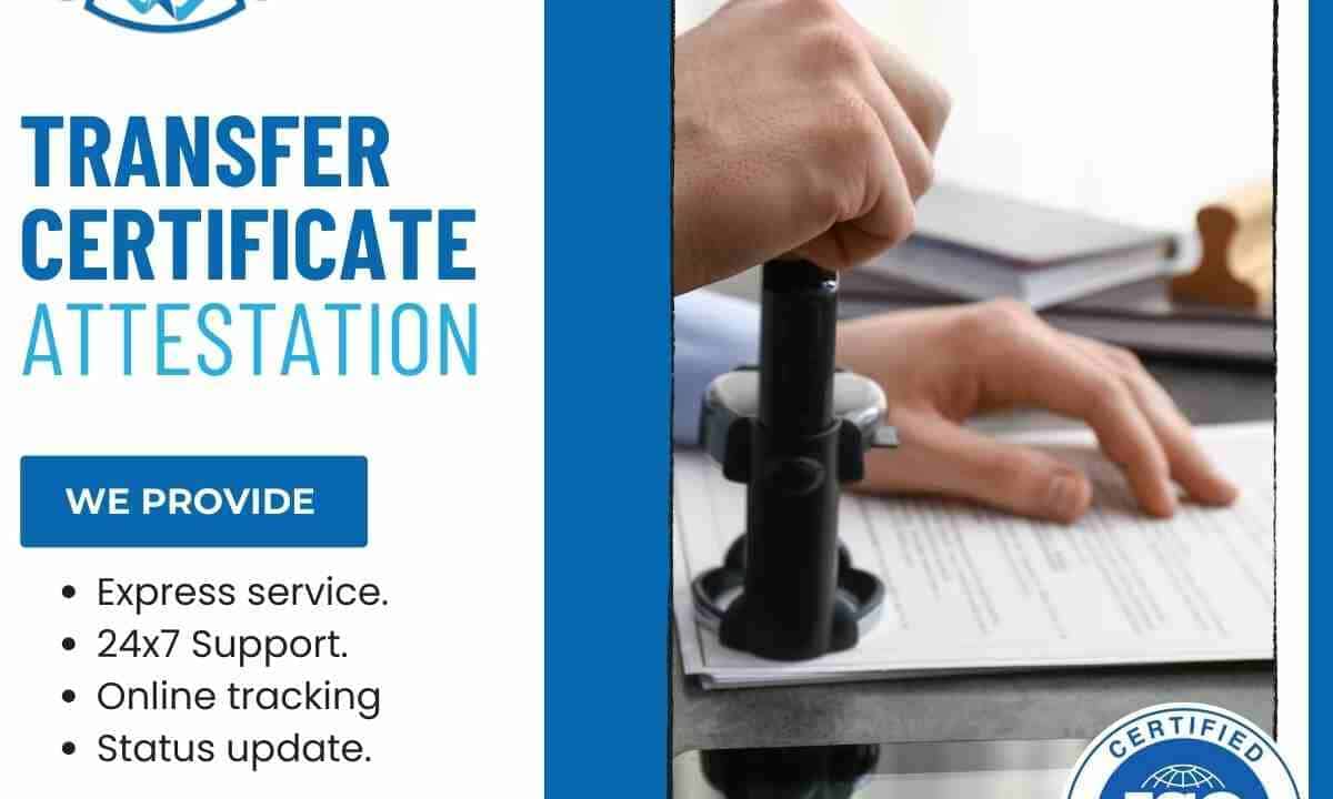 Professional Transfer Certificate Attestation Services in UAE