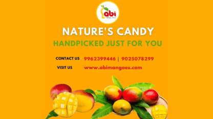 100-Organic-Mangoes-in-India-AbiMangoes