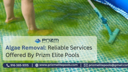 Algae-Removal-Reliable-Services-Offered-By-Prizm-Elite-Pools