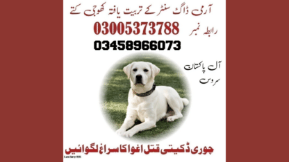 Army-Dog-Center-in-Islamabad