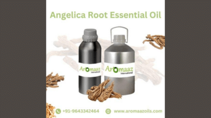 Buy-Angelica-Root-Essential-Oil