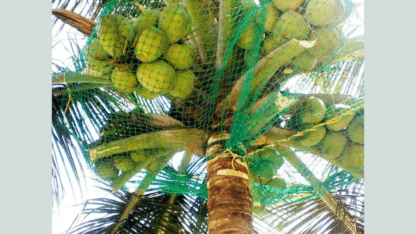 Coconut-Safety-Net-Near-Me-in-Bangalore-Menorah-CocoNets