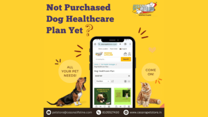 Dog-Healthcare-Plan