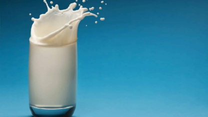 Gir-Cow-Milk-in-Rajkot-A-Healthy-and-Natural-Choice