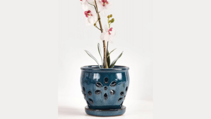 Orchid-Pottery-2