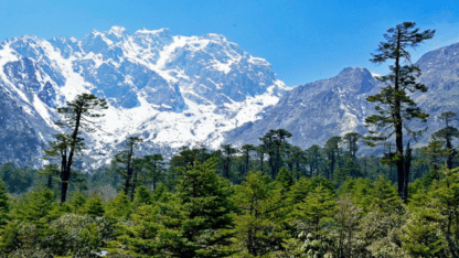 Sikkim-Darjeeling-Package-Tour-in-Summer-NatureWings-Holidays