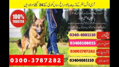Army-Dog-Center-Multan
