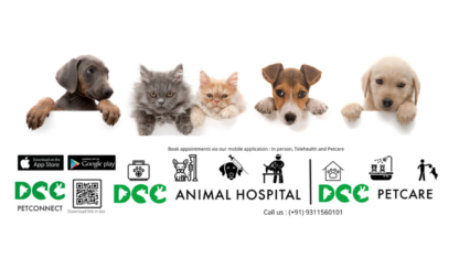 DCC-Animal-Hospital-Best-Pet-Clinic-in-Noida-Sec-50
