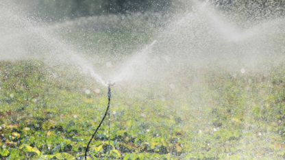 Digital-Farming-Solutions-For-Precision-Irrigation-and-Fertigation-Irrigation