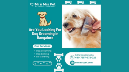 Best-Dog-Grooming-at-Home-in-Bangalore