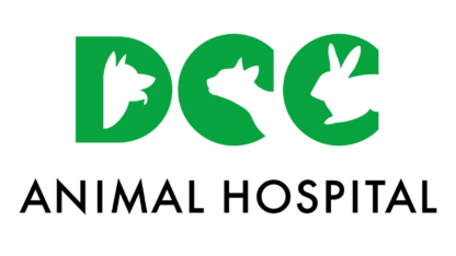 Best-Pet-Clinic-in-South-Delhi-DCC-Animal-Hospital