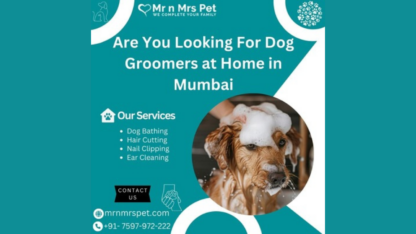 Dog-Groomers-at-Home-in-Mumbai