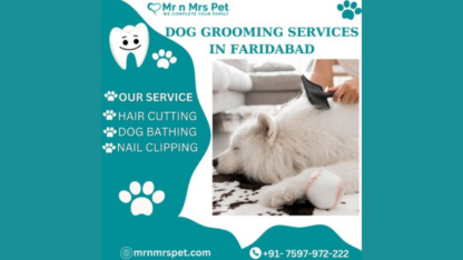Professional-Dog-Grooming-Services-in-Faridabad