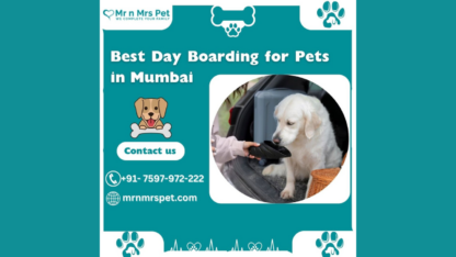 Best-Day-Boarding-For-Pets-in-Mumbai