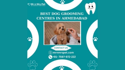 Best-Dog-Grooming-Centres-in-Ahmedabad