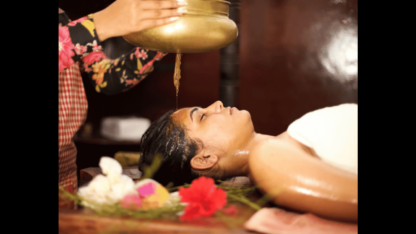 Holistic-Healing-at-Its-Best-with-Nimba-Nature-Cure