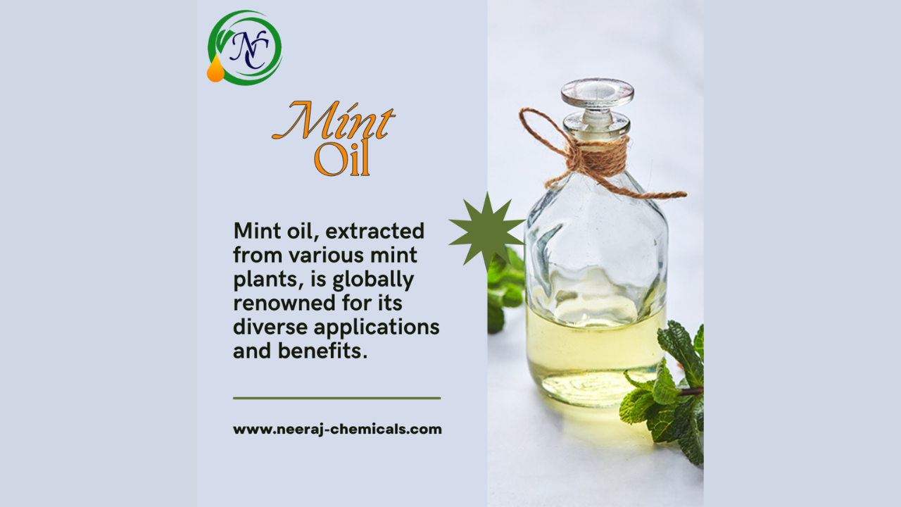 Mint Oil Suppliers in India