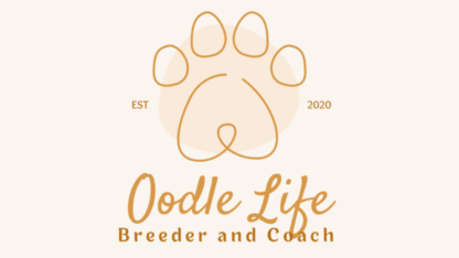 Top-Cavoodle-Breeders-at-Oodle-Life