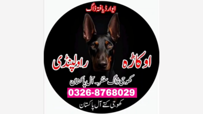 Army-Dog-Center-Faisalabad