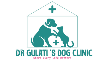 Best-Dog-Clinic-in-Malviya-Nagar