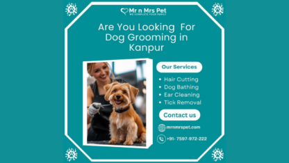 Best-Dog-Grooming-in-Kanpur
