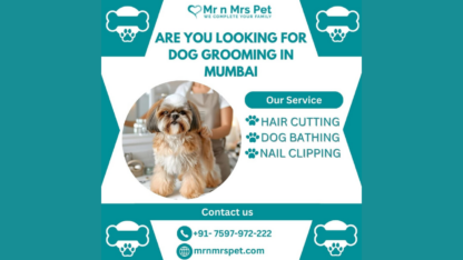 Best-Dog-Grooming-in-Mumbai