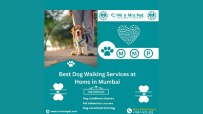 Best-Dog-Walking-Services-at-Home-in-Mumbai