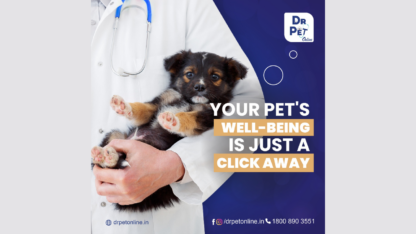 Online-Pet-Consultations
