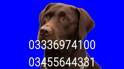 Army-Dog-Center-Peshawar