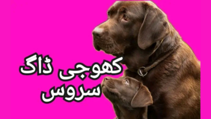 Army-Dog-Centre-Gujranwala