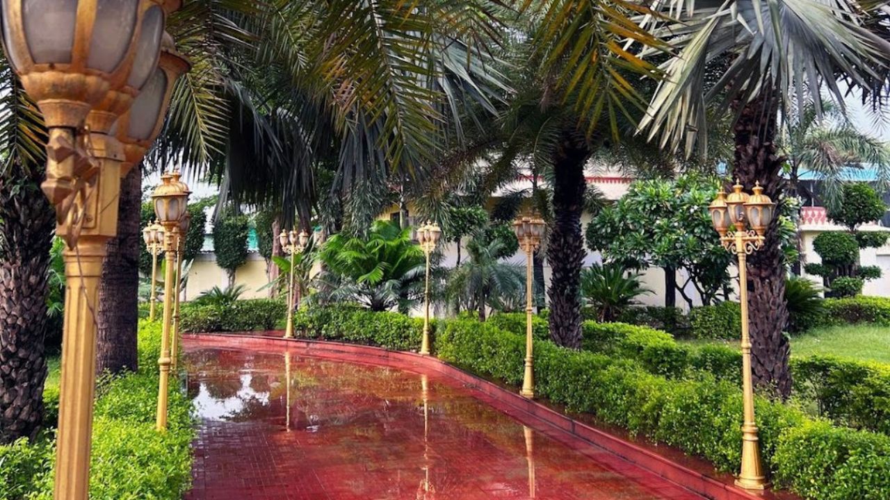 Black Bear Farmhouse – Best Farmhouse in Jaipur | Private Villa | Wedding Venue | Party Venue