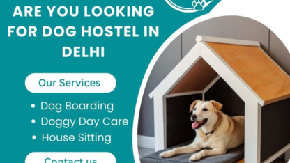 Dog-Hostel-in-Delhi-at-Affordable-Price