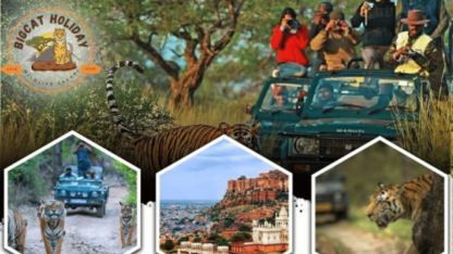 Jeep-Safari-in-Ranthambore