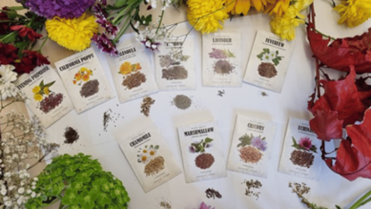 Medicinal-Garden-Kit