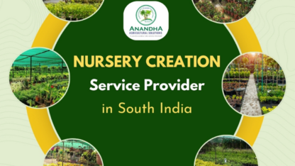 Nurseriy-Creation-Service-in-Tamilnadu