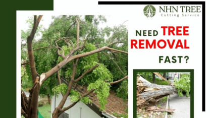 Tree-Removal-Services-NHN-Tree-Cutting-Services-Hyderabad