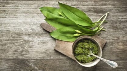 Verkauf-von-Barlauch-Wild-garlic-in-grosen-Mengen-vom-Hersteller