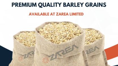 Barley-Grains-Zarea-Limited