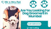 The Best Dog Groomers in Mumbai
