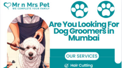 Best-Dog-Groomers-in-Mumbai