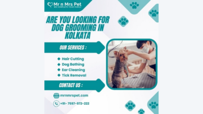 Best-Dog-Grooming-at-Home-in-Kolkata