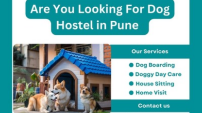 Best-Dog-Hostel-in-Pune-at-Affordable-Price