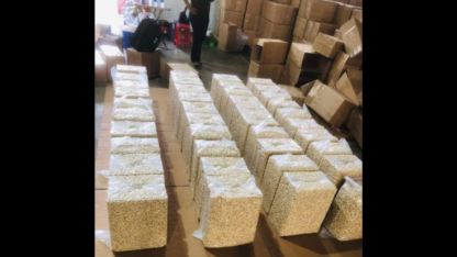 Cashew-Nuts-Wholesale-Supplier