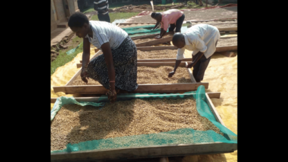 High-Quality-Coffee-Beans-at-Wholesale-Prices