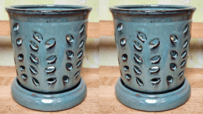 Online-Orchid-Supplies-at-Green-Barn