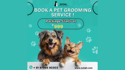 Pet-Grooming-Services-in-Coimbatore-Best-Pet-Grooming-Coimbatore