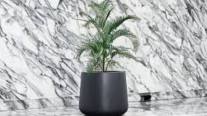Top-Decorative-Pots-Indoor