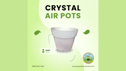 Why-Crystal-Air-Pots-Are-a-Must-Have-for-Orchid-Lovers