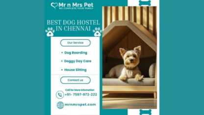 Best-Dog-Hostel-in-Chennai